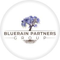 Bluerain Partners Group Inc.